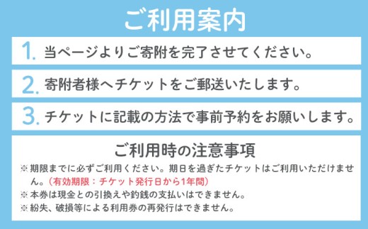 空き家 粗大ゴミ 片付け ハウスクリーニング  チケット【30枚セット】1000円×30枚 計30,000円相当分 有限会社クリーンeco《30日以内に出荷予定(土日祝除く)》  野木町での空き家片付け、遺品整理、不用品回収で使えるチケット