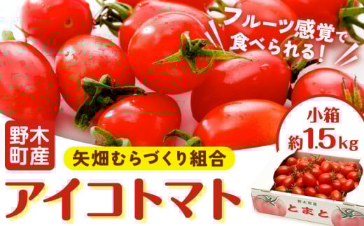 【先行予約】アイコ トマト 約1.5kg 小箱 栃木県 野木町産 矢畑むらづくり組合 《2025年10月上旬-2026年6月下旬頃出荷》栃木県 野木町 トマト ミニトマト 野菜 新鮮