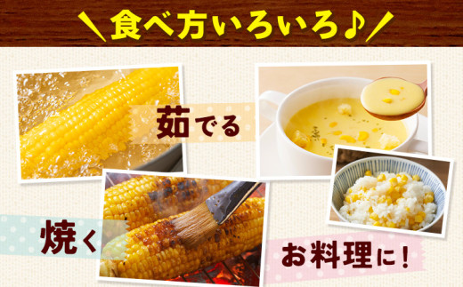 とうもろこし 恵味 約4kg 10本入り 朝採れ クール便 野木町産 矢畑むらづくり組合 《2026年6月下旬-7月下旬頃出荷》栃木県 野木町 トウモロコシ 野菜