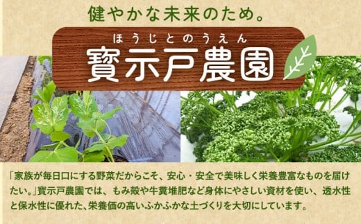 パセリのドレッシング 150g×3本入り 〜ほうじとさんちの万能ドレッシング〜 寳示戸農園《90日以内に出荷予定(土日祝除く)》