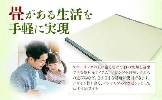 ã€ã³ããªã¢ ç³ ç³è·äººã®æä»äº é«å質眮ãç³ïŒæ 60cmÃ60cm 倧é«ç³åºã30æ¥ä»¥å
ã«åºè·äºå®(忥ç¥é€ã)ãæ æšç éæšçº çœ®ãç³ å宀 å®¶å
·