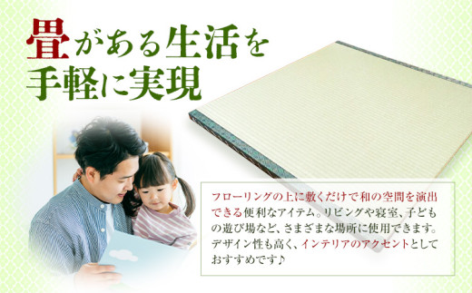 インテリア 畳 畳職人の手仕事 高品質置き畳１枚 50cm×50cm 大高畳店《30日以内に出荷予定(土日祝除く)》栃木県 野木町 置き畳 和室 家具