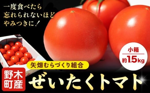 【先行予約】トマト ぜいたくトマト 約1.5kg 小箱 栃木県 野木町産 矢畑むらづくり組合 《2025年10月上旬-2026年5月末頃出荷》栃木県 野木町 トマト 野菜 新鮮