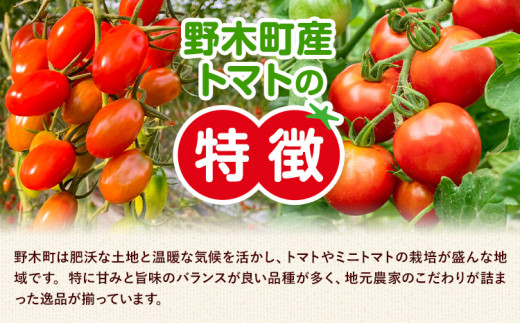 繝溘ル繝医槭ヨ 邏1.5kg 2邂ア 蟆冗ョア 譬譛ィ逵 驥取惠逕コ逕」 遏「逡代繧峨▼縺上j邨蜷 縲2025蟷エ10譛井ク頑流-2026蟷エ6譛井ク区流鬆蜃コ闕キ縲区譛ィ逵 驥取惠逕コ 繝医槭ヨ 繝溘ル繝医槭ヨ 驥手除 譁ー魄ョ