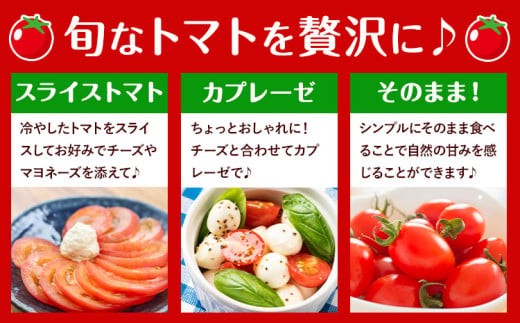 縲仙郁。御コ育エ縲代ヨ繝槭ヨ 蟆冗ョア 邏2kg + 繝溘ル繝医槭ヨ 蟆冗ョア 邏1.5kg 鬟溘∋豈斐∋ 譬譛ィ逵 驥取惠逕コ逕」 遏「逡代繧峨▼縺上j邨蜷 縲2025蟷エ10譛井ク頑流-2026蟷エ6譛井ク区流鬆蜃コ闕キ縲区譛ィ逵 驥取惠逕コ 繝医槭ヨ 繝溘ル繝医槭ヨ 驥手除 譁ー魄ョ