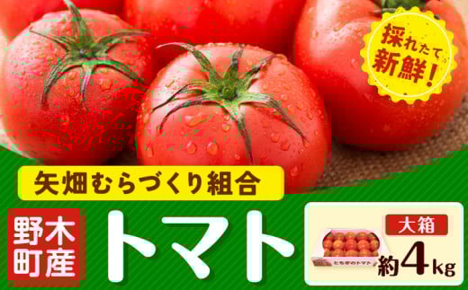 ãå
è¡äºçŽãããã çŽ4kg 倧箱 æ æšç éæšçºç£ ç¢çããã¥ããçµå ã2025幎10æäžæ¬-2026幎6æäžæ¬é åºè·ãæ æšç éæšçº ããã éè æ°é®®