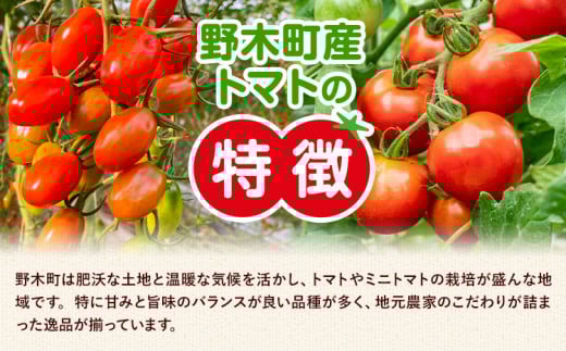 ãå
è¡äºçŽãããã çŽ4kg 倧箱 æ æšç éæšçºç£ ç¢çããã¥ããçµå ã2025幎10æäžæ¬-2026幎6æäžæ¬é åºè·ãæ æšç éæšçº ããã éè æ°é®®