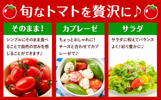 縲仙郁。御コ育エ縲代Α繝九ヨ繝槭ヨ 邏1.5kg 1邂ア 蟆冗ョア 譬譛ィ逵 驥取惠逕コ逕」 遏「逡代繧峨▼縺上j邨蜷 縲2025蟷エ10譛井ク頑流-2026蟷エ6譛井ク区流鬆蜃コ闕キ縲区譛ィ逵 驥取惠逕コ 繝医槭ヨ 繝溘ル繝医槭ヨ 驥手除 譁ー魄ョ