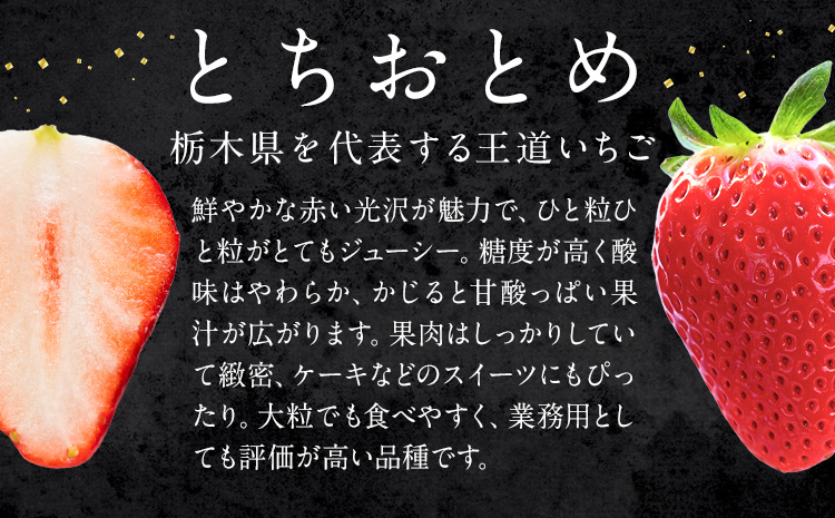 栃木 いちご とちおとめ 4パック 1040g 《1月中旬-5月上旬頃出荷》 栃木県 野木町 いちご イチゴ 苺 とちおとめ 果物 フルーツ ジューシー 【配送不可地域】沖縄・離島