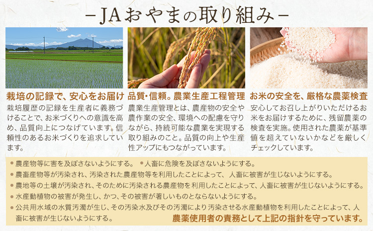 令和7年産 米 お米 コシヒカリ うまかん米 6ヶ月 定期便 5kg JAおやま 《30日以内に出荷予定(土日祝除く)》 栃木県 野木町産 コメ 米 ブランド米 こしひかり【栃木県共通返礼品】