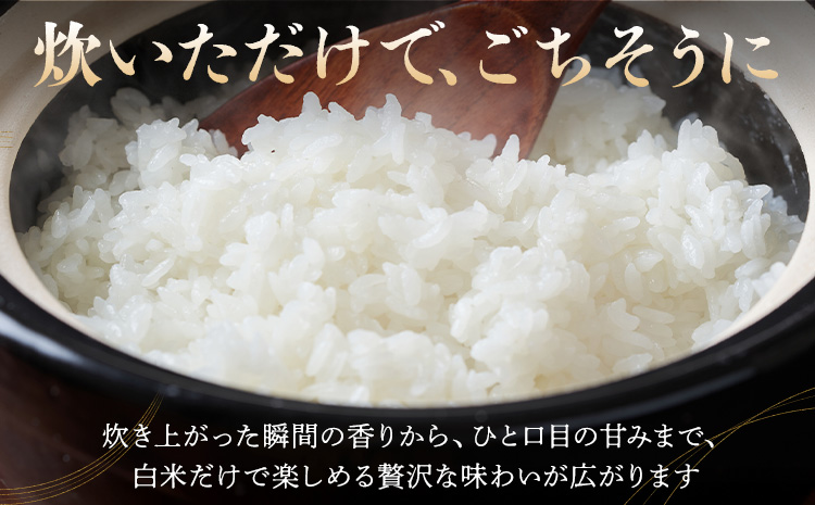 令和7年産 米 お米 コシヒカリ うまかん米 6ヶ月 定期便 5kg JAおやま 《30日以内に出荷予定(土日祝除く)》 栃木県 野木町産 コメ 米 ブランド米 こしひかり【栃木県共通返礼品】