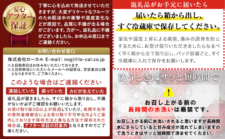 栃木 いちご とちあいか 4パック 1040g 《1月中旬-5月上旬頃出荷》 栃木県 野木町 いちご イチゴ 苺 とちあいか 果物 フルーツ ジューシー 【配送不可地域】沖縄・離島