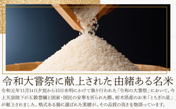 莉、蜥7蟷エ逕」 邀ウ 縺顔アウ 縺ィ縺。縺弱ョ譏 3繝カ譛亥ョ壽悄萓ソ 5kg JA縺翫d縺セ縲30譌・莉・蜀縺ォ蜃コ闕キ莠亥ョ(蝨滓律逾晞勁縺)縲 譬譛ィ逵 驥取惠逕コ逕」 繧ウ繝。 邀ウ 繝悶Λ繝ウ繝臥アウ 縺ィ縺。縺弱ョ縺サ縺励先譛ィ逵悟ア騾夊ソ皮、シ蜩√