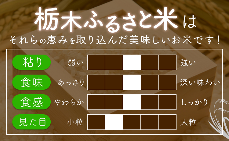【3ヶ月定期便】米 栃木 ふるさと米 白米 5kg《申込月の翌月から出荷開始》栃木県 野木町 米 白米 精米 国産 お米 おこめ お弁当 おにぎり【栃木県共通返礼品】