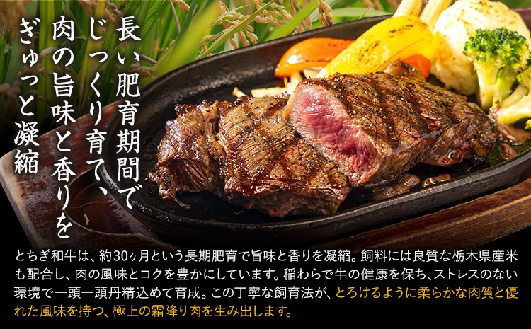 黿¯åç ãšã¡ãåç ååã ãµãŒãã€ã³ A4ãA5ççŽ ééã 赀身 ã¹ããŒã æ¥µäž 800g æ°ééå® çè å·å ã30æ¥ä»¥å
ã«åºè·äºå®(忥ç¥é€ã)ã å·å庫 åå¥ ä»¥å
ãã©ã³ãç