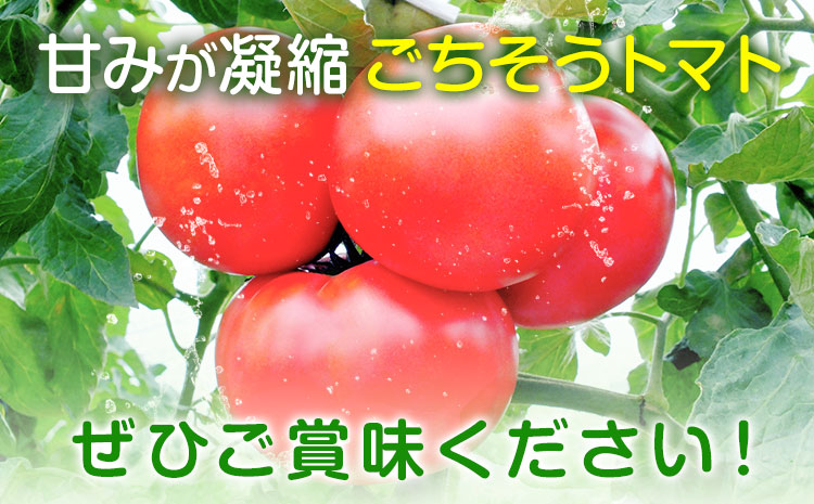 ããã æ æšç éæšçºç£ ããã æ¡å€ªé çŽ4kg ç§å±±èŸ²åã3æäžæ¬-7æäžæ¬é åºè·äºå®ãæ æšç éæšçº çã éè æ¡å€ªéããã æ°é®®éè éæç© ãšãŸãš