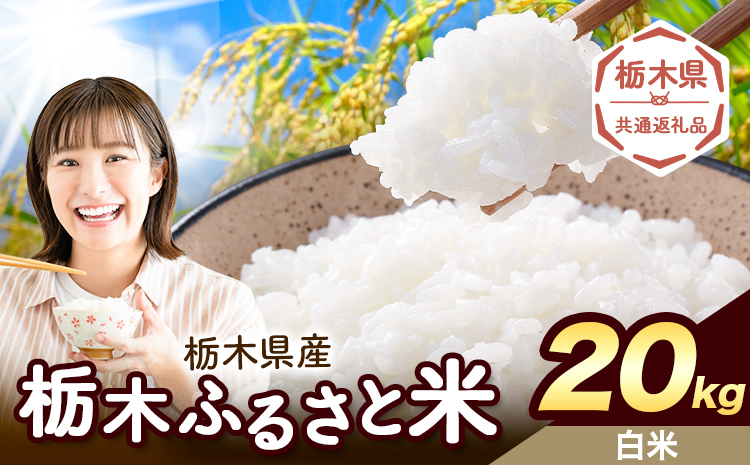 米 栃木 ふるさと米 白米 20kg《1月中旬-2月末頃出荷》栃木県 野木町 米 白米 精米 国産 お米 おこめ お弁当 おにぎり【栃木県共通返礼品】
