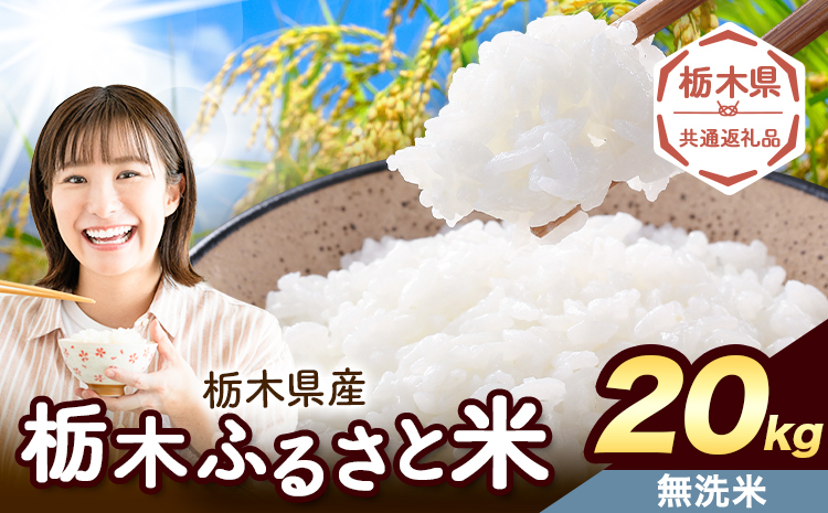 米 栃木 ふるさと米 無洗米 20kg《1月中旬-2月末頃出荷》栃木県 野木町 米 白米 精米 国産 お米 おこめ お弁当 おにぎり【栃木県共通返礼品】