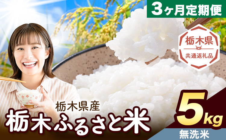 【3ヶ月定期便】米 栃木 ふるさと米 無洗米 5kg《申込月の翌月から出荷開始》栃木県 野木町 米 白米 精米 国産 お米 おこめ お弁当 おにぎり【栃木県共通返礼品】