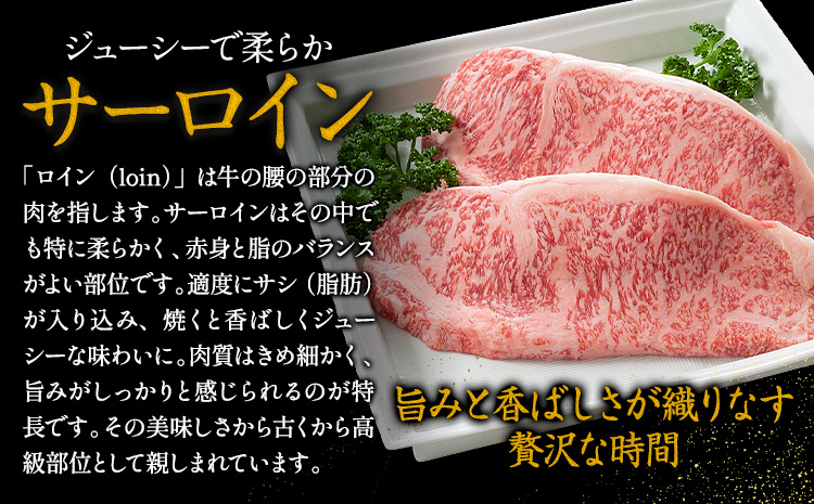 黿¯åç ãšã¡ãåç ååã ãµãŒãã€ã³ A4ãA5ççŽ ééã 赀身 ã¹ããŒã æ¥µäž 400g æ°ééå® çè å·å ã30æ¥ä»¥å
ã«åºè·äºå®(忥ç¥é€ã)ã å·å庫 åå¥ ä»¥å
ãã©ã³ãç