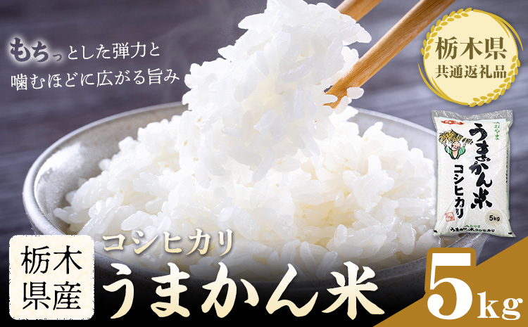 令和7年産 米 お米 コシヒカリ うまかん米 5kg JAおやま《30日以内に出荷予定(土日祝除く)》 栃木県 野木町産 コメ 米 ブランド米 こしひかり【栃木県共通返礼品】