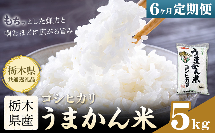 令和7年産 米 お米 コシヒカリ うまかん米 6ヶ月 定期便 5kg JAおやま 《30日以内に出荷予定(土日祝除く)》 栃木県 野木町産 コメ 米 ブランド米 こしひかり【栃木県共通返礼品】