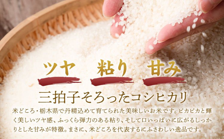 令和7年産 米 お米 コシヒカリ うまかん米 5kg JAおやま《30日以内に出荷予定(土日祝除く)》 栃木県 野木町産 コメ 米 ブランド米 こしひかり【栃木県共通返礼品】