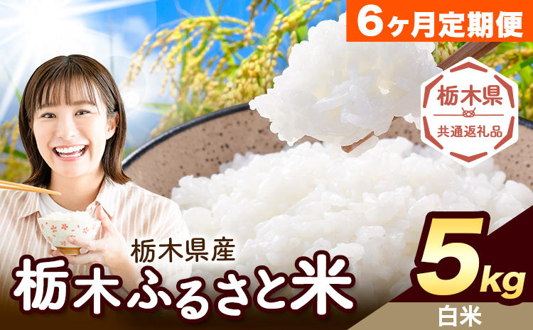 【6ヶ月定期便】米 栃木 ふるさと米 白米 5kg《申込月の翌月から出荷開始》栃木県 野木町 米 白米 精米 国産 お米 おこめ お弁当 おにぎり【栃木県共通返礼品】