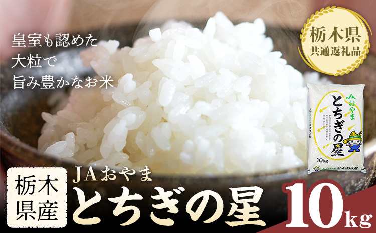 令和7年産 米 お米 とちぎの星 10kg JAおやま《30日以内に出荷予定(土日祝除く)》 栃木県 野木町産 コメ 米 ブランド米 とちぎのほし【栃木県共通返礼品】