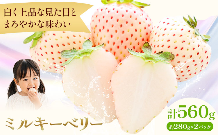 ミルキーベリー 約280g×2パック 計560g 株式会社澳原いちご農園《2026年12月下旬-2027年5月中旬頃出荷》栃木県 野木町 イチゴ 苺 朝摘み ミルキーベリー 果物 フルーツ スイーツ【配送不可地域あり】(沖縄・離島)