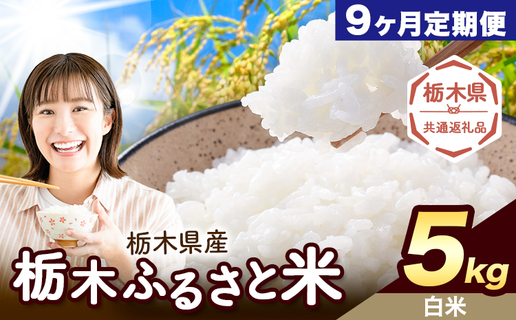 【9ヶ月定期便】米 栃木 ふるさと米 白米 5kg《申込月の翌月から出荷開始》栃木県 野木町 米 白米 精米 国産 お米 おこめ お弁当 おにぎり【栃木県共通返礼品】