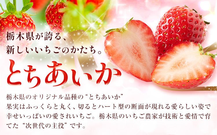 いちご とちあいか 2パック 560g 《2025年12月下旬-2026年3月上旬頃出荷》 JAおやま 栃木県 野木町 イチゴ 苺 果物 フルーツ ハート型 贈答用 プレゼント スイーツ ケーキ 手作り トッピング ハート【栃木県共通返礼品】