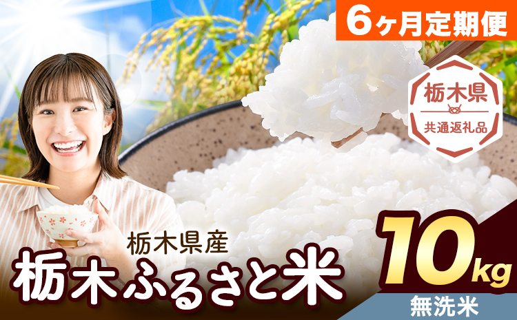 【6ヶ月定期便】栃木 ふるさと米 無洗米 10kg (5kg×2袋)《お申込み翌月から出荷》栃木県 野木町 米 国産 お米 おこめ お弁当 おにぎり【栃木県共通返礼品】