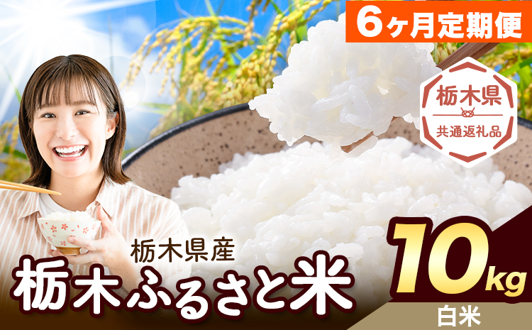 【6ヶ月定期便】米 栃木 ふるさと米 白米 10kg (5kg×2袋)《申込月の翌月から出荷開始》栃木県 野木町 米 国産 お米 おこめ お弁当 おにぎり【栃木県共通返礼品】