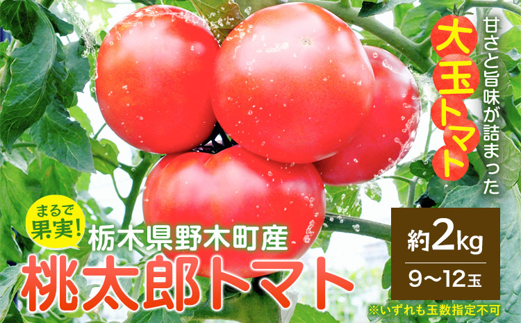 トマト 栃木県 野木町産 トマト 桃太郎 約2kg 秋山農園《3月上旬-7月上旬頃出荷予定》栃木県 野木町 甘い 野菜 桃太郎トマト 新鮮野菜 青果物 とまと