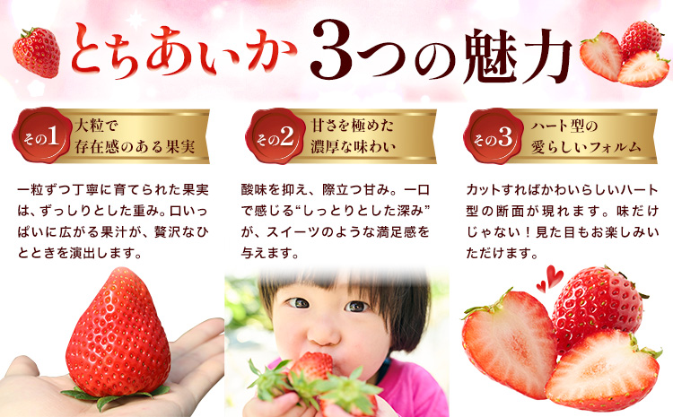 いちご とちあいか 2パック 560g 《2025年12月下旬-2026年3月上旬頃出荷》 JAおやま 栃木県 野木町 イチゴ 苺 果物 フルーツ ハート型 贈答用 プレゼント スイーツ ケーキ 手作り トッピング ハート【栃木県共通返礼品】