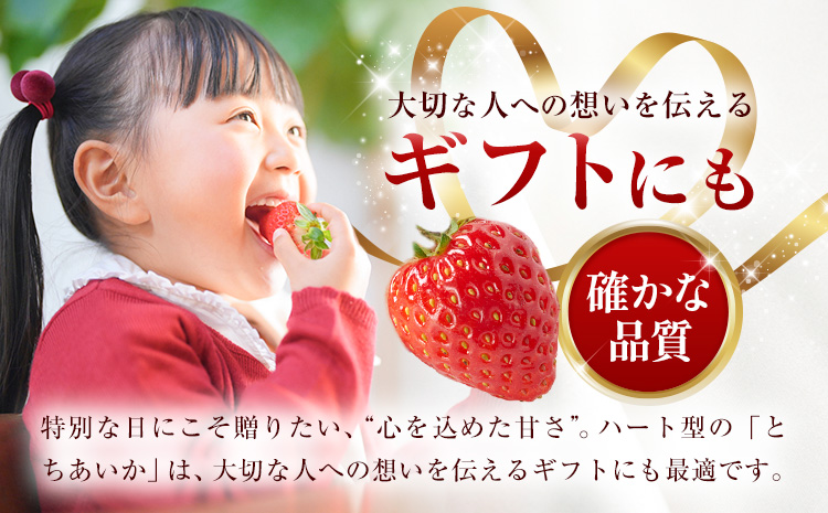 いちご とちあいか 2パック 560g 《2025年12月下旬-2026年3月上旬頃出荷》 JAおやま 栃木県 野木町 イチゴ 苺 果物 フルーツ ハート型 贈答用 プレゼント スイーツ ケーキ 手作り トッピング ハート【栃木県共通返礼品】