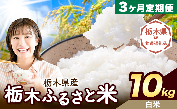 【3ヶ月定期便】米 栃木 ふるさと米 白米 10kg (5kg×2袋)《申込月の翌月から出荷開始》栃木県 野木町 米 国産 お米 おこめ お弁当 おにぎり【栃木県共通返礼品】