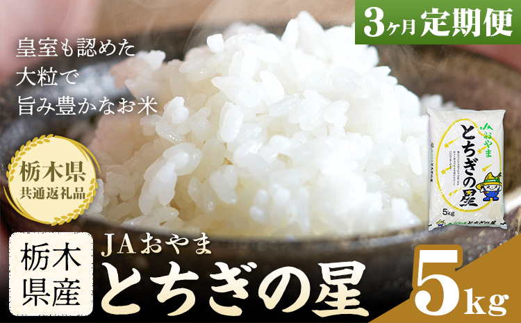 令和7年産 米 お米 とちぎの星 3ヶ月定期便 5kg JAおやま《30日以内に出荷予定(土日祝除く)》 栃木県 野木町産 コメ 米 ブランド米 とちぎのほし【栃木県共通返礼品】