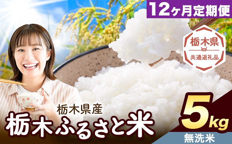 【12ヶ月定期便】米 栃木 ふるさと米 無洗米 5kg《申込月の翌月から出荷開始》栃木県 野木町 米 白米 精米 国産 お米 おこめ お弁当 おにぎり【栃木県共通返礼品】