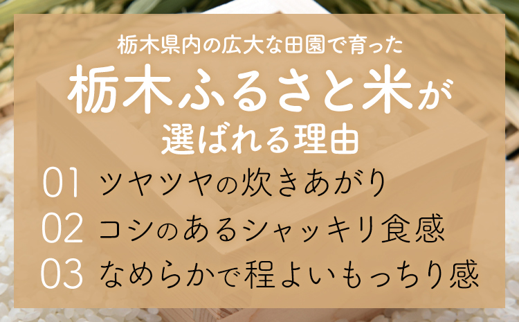 米 栃木 ふるさと米 白米 5kg《7-14日以内に出荷予定(土日祝除く)》栃木県 野木町 米 白米 精米 国産 お米 おこめ お弁当 おにぎり【栃木県共通返礼品】