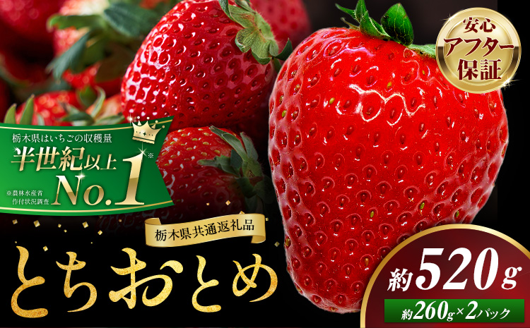 栃木 いちご とちおとめ 2パック 520g [1月中旬-5月上旬頃出荷] 栃木県 野木町 いちご イチゴ 苺 とちおとめ 果物 フルーツ ジューシー [配送不可地域]沖縄・離島