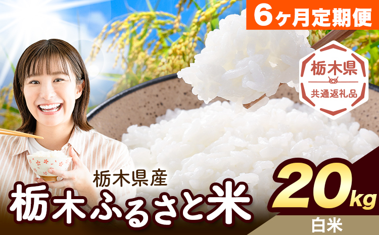 【6ヶ月定期便】米 栃木 ふるさと米 白米 20kg (5kg×4袋)《申込月の翌月から出荷開始》栃木県 野木町 米 国産 お米 おこめ お弁当 おにぎり【栃木県共通返礼品】