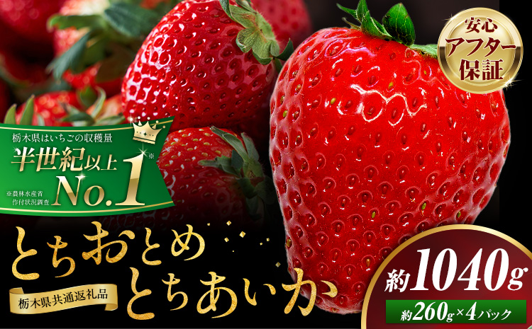 栃木 いちご 食べ比べ とちおとめ とちあいか 4パック 1040g [1月中旬-5月上旬頃出荷] 栃木県 野木町 いちご イチゴ 苺 とちおとめ とちあいか 食べ比べ 果物 フルーツ ハート型 ジューシー [配送不可地域]沖縄・離島