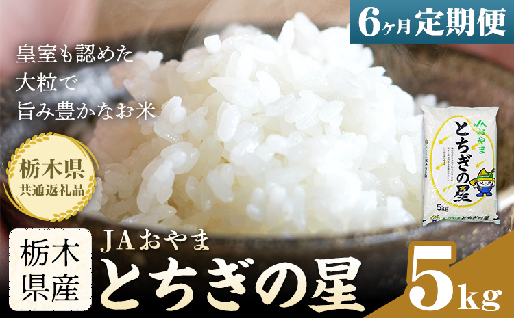 令和7年産 米 お米 とちぎの星 6ヶ月定期便 5kg JAおやま《30日以内に出荷予定(土日祝除く)》 栃木県 野木町産 コメ 米 ブランド米 とちぎのほし【栃木県共通返礼品】