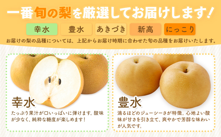 先行予約 訳あり 旬の梨 約4kg 幸水 豊水 あきづき 新高 にっこり《8月上旬-10月中旬頃出荷予定》 栃木県 野木町 なし ナシ くだもの 果物 青果物 フルーツ