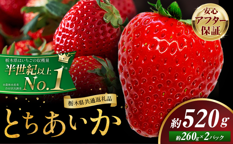 栃木 いちご とちあいか 2パック 520g [1月中旬-5月上旬頃出荷] 栃木県 野木町 いちご イチゴ 苺 とちあいか 果物 フルーツ ジューシー [配送不可地域]沖縄・離島