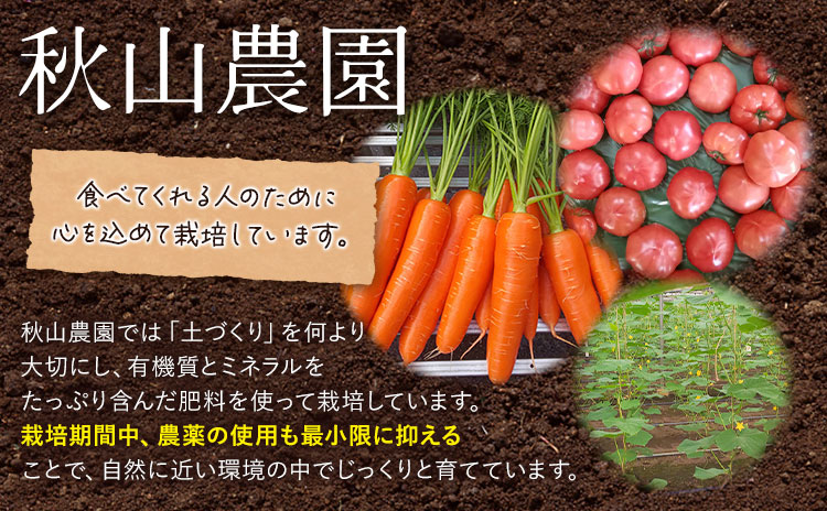 トマト 栃木県 野木町産 トマト 桃太郎 約2kg 秋山農園《3月上旬-7月上旬頃出荷予定》栃木県 野木町 甘い 野菜 桃太郎トマト 新鮮野菜 青果物 とまと