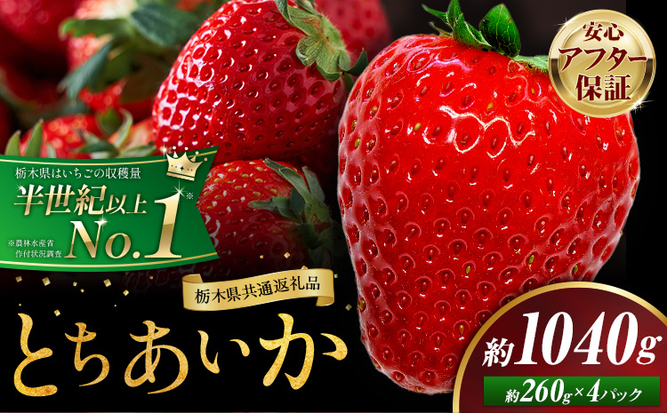 栃木 いちご とちあいか 4パック 1040g [1月中旬-5月上旬頃出荷] 栃木県 野木町 いちご イチゴ 苺 とちあいか 果物 フルーツ ジューシー [配送不可地域]沖縄・離島