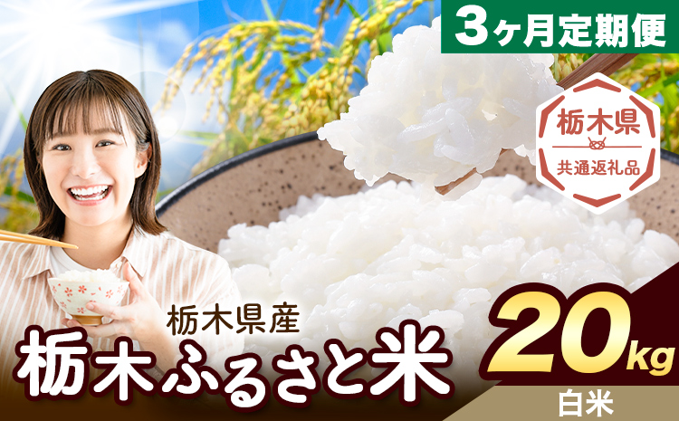 【3ヶ月定期便】米 栃木 ふるさと米 白米 20kg (5kg×4袋)《申込月の翌月から出荷開始》栃木県 野木町 米 国産 お米 おこめ お弁当 おにぎり【栃木県共通返礼品】